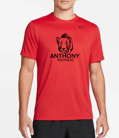 Panthers Nike Athletic Drifit T-Shirt